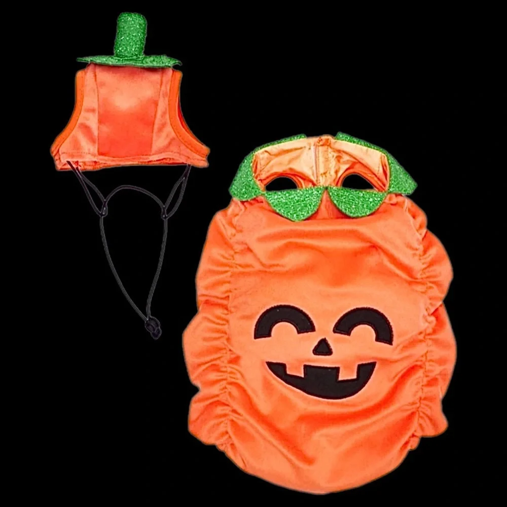 PET JACK-O’-LANTERN COSTUME NWT